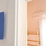 招待所 Casa Sebastiao *
